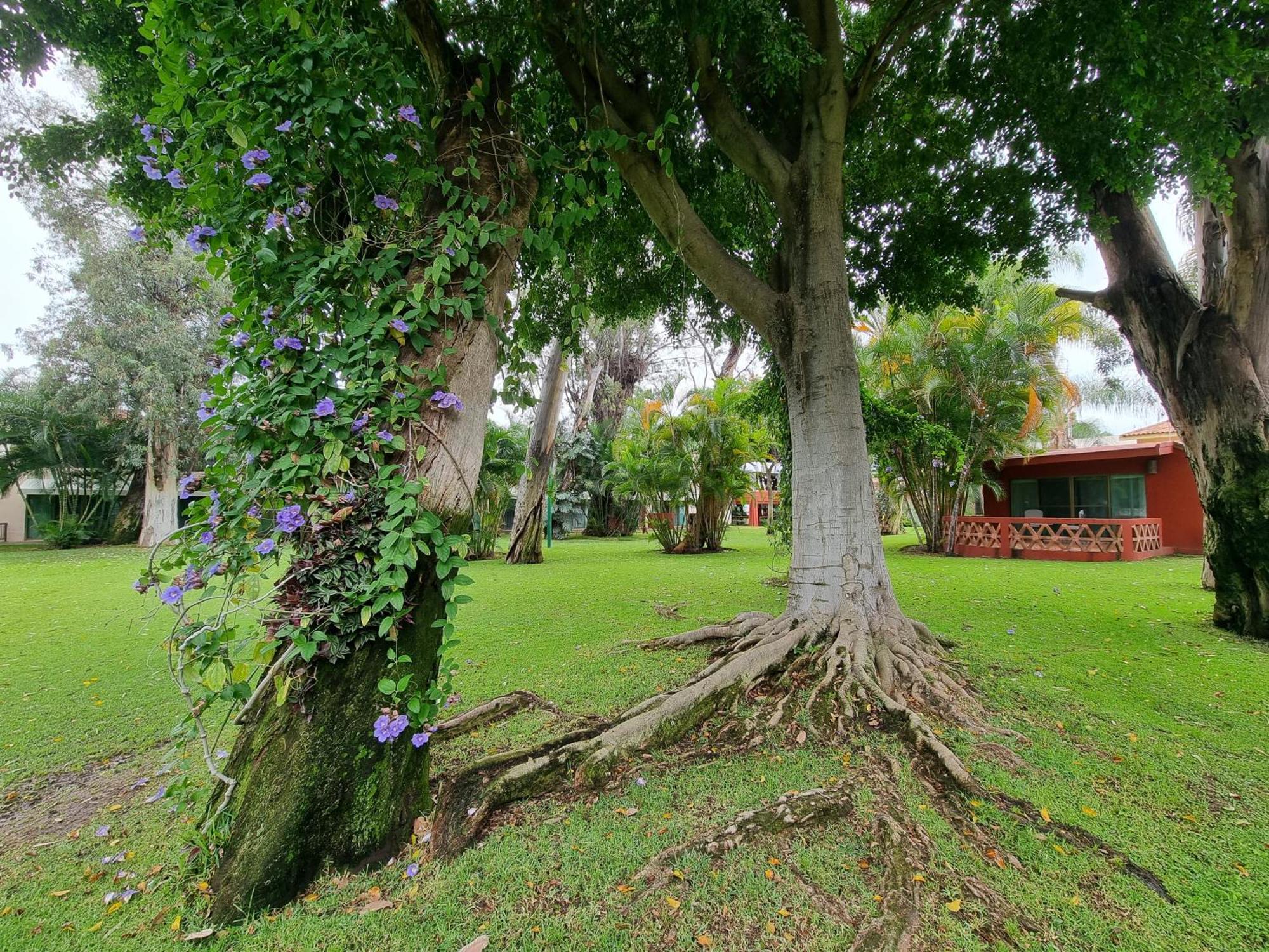 Hotel Real De Chapala Ajijic Exterior foto